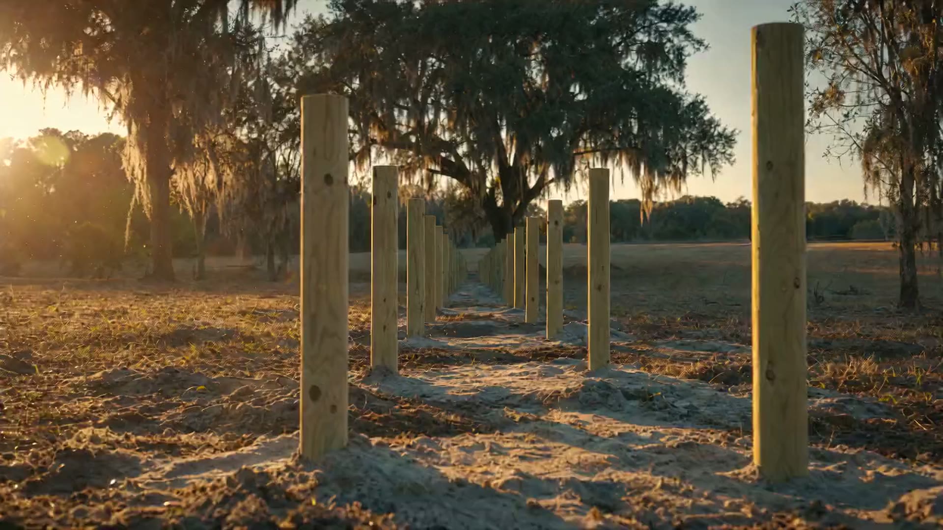 A new fence line at golden hour on a North Central Florida property, live oaks draped in Spanish moss behind it.